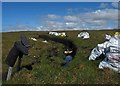 NB3146 : Peat cutting, Tom a' Charstoir, Isle of Lewis by Claire Pegrum