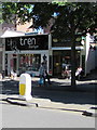 Trenz Boutique, The Avenue, Minehead