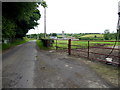 Feddan Road, Ballynasaggart