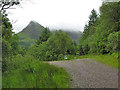 NN0458 : Forestry road junction in Gleann a' Chaolais by Nigel Brown