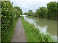 ST8760 : NCN4 beside Kennet and Avon Canal by David Smith