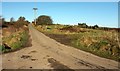 Road past Lowertown Farm