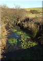 Looking upstream from the bridge at Lowertown ford