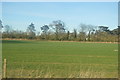 TL4562 : Field by Guided Busway by N Chadwick