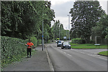 TL4856 : Cherry Hinton Road: hedge-trimming by John Sutton