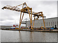 Travelling Crane near the Steel Terminal at Goole Docks