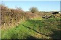 Hedge, field and barn near Pencarrow