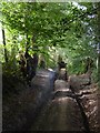 Rutted byway north of Sotherington Lane