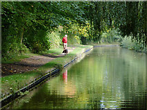SJ3035 : Llangollen Canal east of Preesgweene, Shropshire by Roger  D Kidd