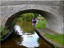 SJ3432 : Llangollen Canal east of Hindford, Shropshire by Roger  D Kidd
