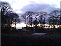 View across the allotments on Sparrow Lane