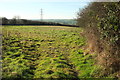 Pasture near Broadlea