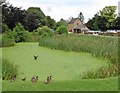 Pond at Haselbury Mill