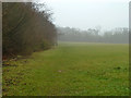 Open space, Selsdon Nature Reserve