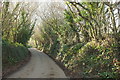 Lane near Tregreenwell