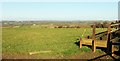 Field near Helsbury Castle