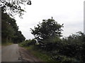 Wood End Lane west of Trowley Bottom