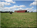 Barns  at  Lodge  Farm