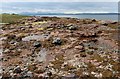 NS1659 : Intertidal rock and shingle near Stinking Bay by Alan Reid