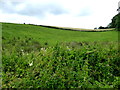 Loughmuck (Alcorn) Townland