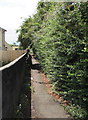 Footpath on the south side of Badminton Road, Yate