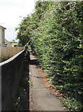 ST6982 : Footpath on the south side of Badminton Road, Yate by Jaggery