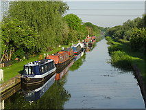SK7894 : Chesterfield Canal West Stockwith by Bob Pearce