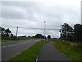 Bat bridge, Elizabeth Way, Hilperton Marsh