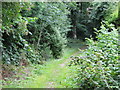 A footpath from Lawns Lane to St James and St Michael