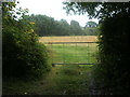 Field entrance off the A393 near Pengreep