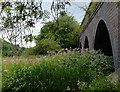 Great Central Way viaduct across the River Biam