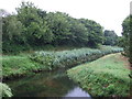 River Hayle, St Erth