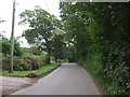 National Cycle Route 3, Rosevidney