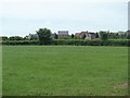 Green field, new houses