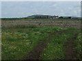 Farmland towards Bosanketh Farm