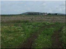 SW3825 : Farmland towards Bosanketh Farm by JThomas