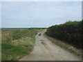 Track (footpath) to Bosanketh Farm