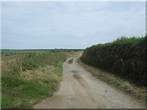 SW3825 : Track (footpath) to Bosanketh Farm by JThomas