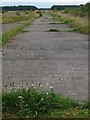 NJ3662 : Runway, RAF Dallachy, Moray by Claire Pegrum