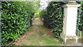 Footpath behind the Royal Oak at Stambridge