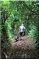 Lane to Tirelands Farm, Enmore