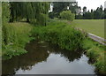 Saffron Brook near Knighton Park