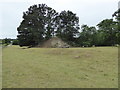 Upper Luggy castle motte