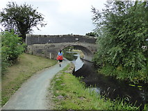 SJ1901 : Walking the towpath of the Montgomeryshire Canal by Jeremy Bolwell