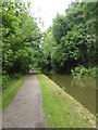 Canal towpath by Murhill