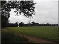 TL0414 : Field in Jockey End by David Howard