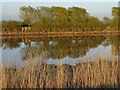 River Trent West Butterwick at low tide