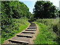 SK3322 : Footpath steps by Ian Calderwood