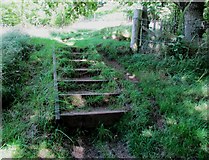NO1801 : Steps on path to Bishop Hill, Lomond Hills by Bill Kasman