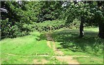 NO1802 : Junction of paths near Bishop Hill, Lomond Hills by Bill Kasman